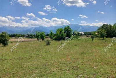 Teren intravilan 5000 mp pe Valea Avrigului, Sibiu - 2