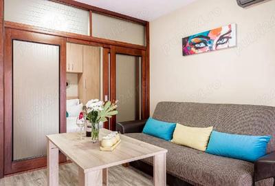 Apartament cu 2 camere decomandat în Cicir - 4