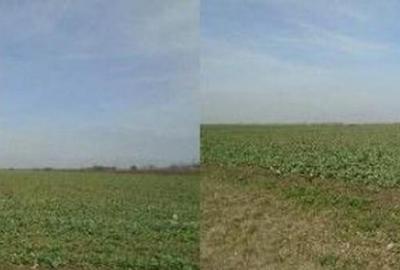 Teren de 6950 mp, în Tudor Vladimirescu - 1