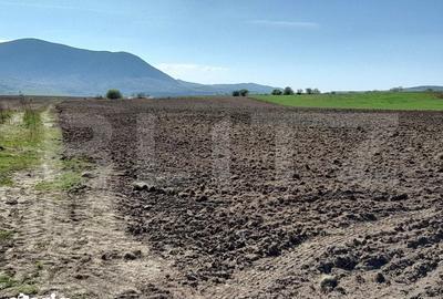 Teren de 15000 mp, în Central - 2