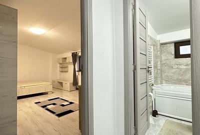 Garsonieră decomandată în Nicolina - 4