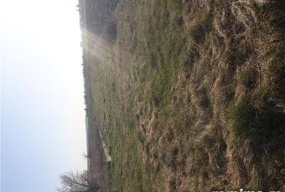 Teren de 2500 mp, în Călugăreni - 1