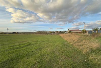 Teren si proiect, 15813mp, fata Skoda - 10