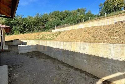 Casă cu Teren 750 Mp în Tăuții de Sus - 11