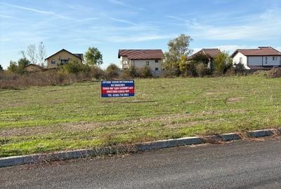 Loturi teren 638 mp; 638 mp; 664 mp de vânzare  Clinceni- Bragadiru - 8