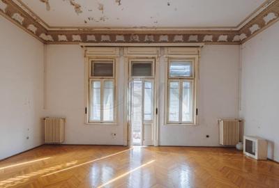 Vila deosebita Lascar Catargiu gradina mare Vila deosebita Lascar Catargiu gradina mare - 17