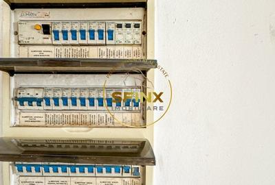 De vanzare ferma Calarasi in stare de conservare - sere - livada - 35