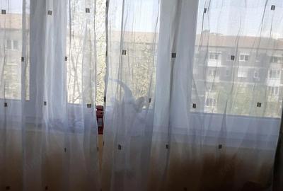 Apartament cu 2 camere semidecomandat în Rogerius - 4