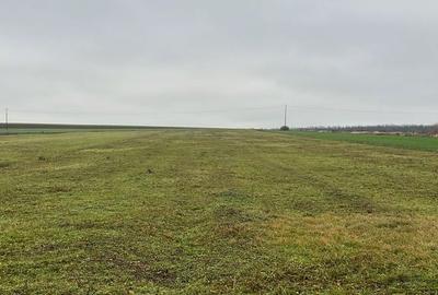 Spațiu comercial, în Păușa - 3