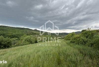 Teren de 4000 mp, în Cricău - 2