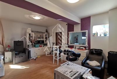 Casa individuala centrala proprie zona Crisan - 1