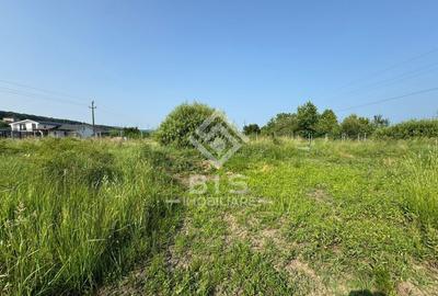 Teren intravilan 900 mp - Valea Rusului - 4