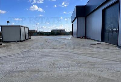 Spațiu comercial, de 517 mp, în Vest - 7