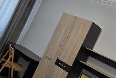 Apartament cu 3 camere decomandat în Nicolina - 11