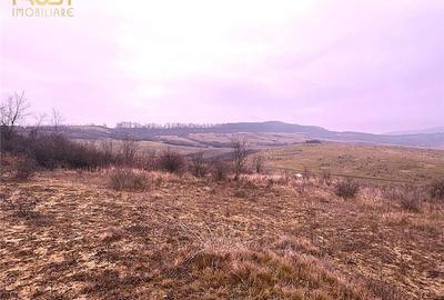 Teren Construcții extravilan de 905 mp, în Sigmir - 11