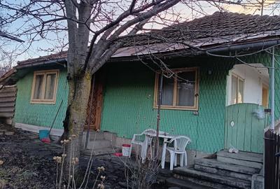 Casă cu 4 camere în Nucșoara de Jos - 2