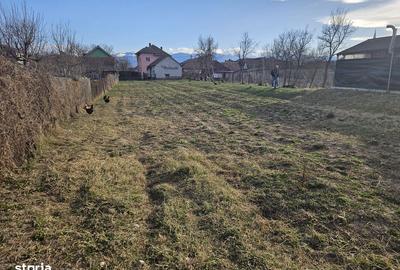 Casă cu 4 camere cu Teren 150 Mp în Central - 5