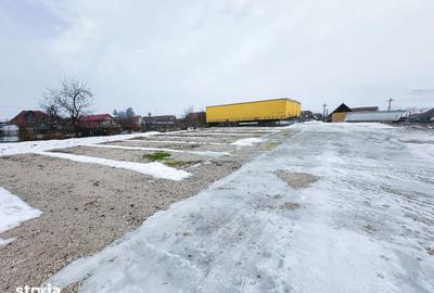 Spațiu comercial, de 500 mp, în Adămuș - 11