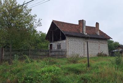 Casă individuală cu 2 camere în Băiculești