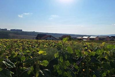 Spațiu comercial, în Valea Lupului - 6