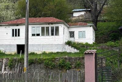 Spațiu comercial, în Andreiașu de Jos - 3