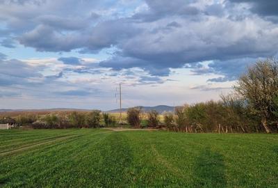 Teren de 3300 mp, în Sadu - 4