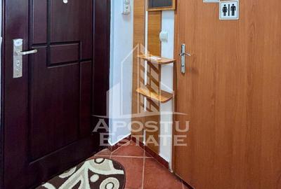 Apartament cu 2 camere în Șega - 12