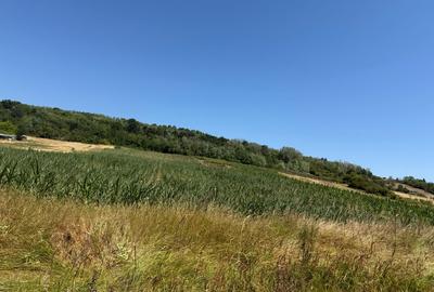 Colaret, Mehedinti - 1