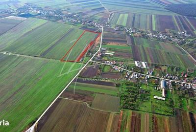 Teren de 113950 mp, în Uliești - 15