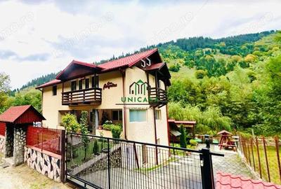 Casa de vacanta / Pensiune / Voineasa - 1