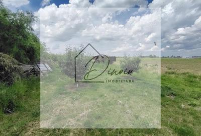 Teren intravilan Ciocanesti Cretu - 9282 mp divizat in 15 loturi - 6