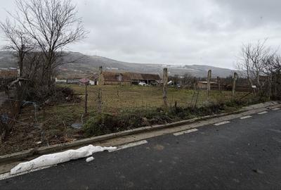 Spațiu comercial, în Păuca - 4