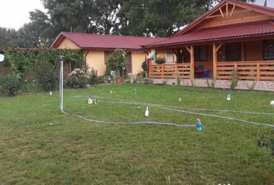 Casă cu 3 camere cu Teren 300 Mp în Horia - 18