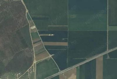 Teren de 10128 mp, în Brănești - 1