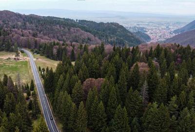 Teren cu potential:1.000 mp,proiect turistic rezidential,Poi Teren cu potential:1.000 mp,proiect turistic rezidential,Poi - 14