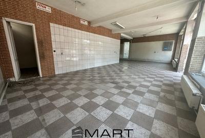 Spatiu Comercial 140 mp Bartolomeu - 3