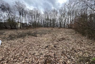 Spațiu comercial, în Făget - 3