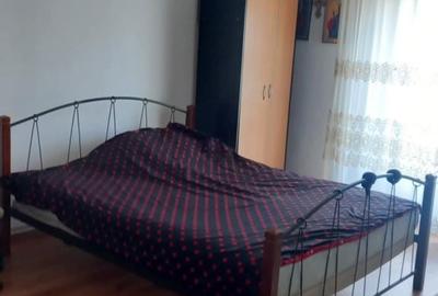 Casă cu 2 camere cu Teren 10000 Mp în Sanislău - 7