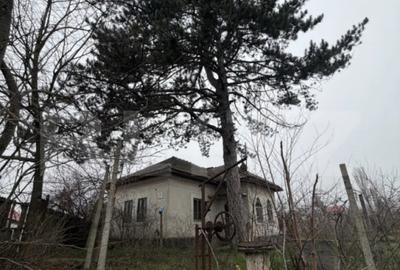 Casă cu 3 camere în Central - 1