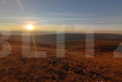 Teren de 8600 mp, în Sălicea - 2