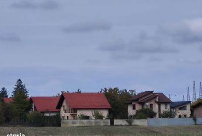 Spațiu comercial, în Balotești - 9