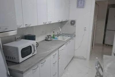 Apartament cu 3 camere decomandat, mobilat în Banu Manta - 11