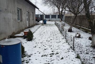 Cascu grădină și anexe! - 3