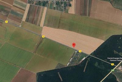 Teren extravilan Varvoru de Jos, jud Dolj - 4