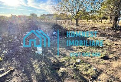 Stefanestii de Jos iIlfov | Teren 996.08 mp - 10