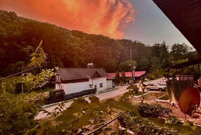 Teren pentru investitii 11.000 mp - 8