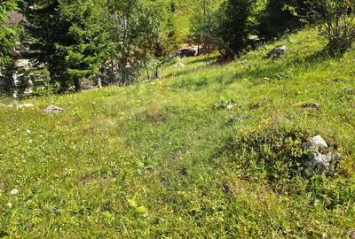 Teren de vis in Fundata 1934mp sau 3868mp, la inal?imea sufletului tau - 3