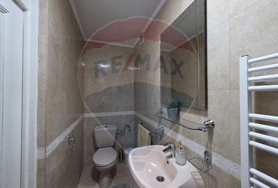 Inchiriere casa cu terasa si curte zona Piata Mica Spitalul Judetean - 20