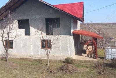 Casă cu Teren 1500 Mp în Erbiceni - 2