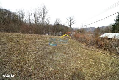 Spațiu comercial, în Provița de Sus - 2